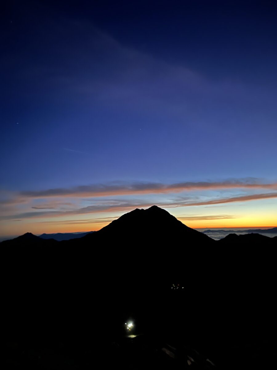 屋根、屋根、屋根！