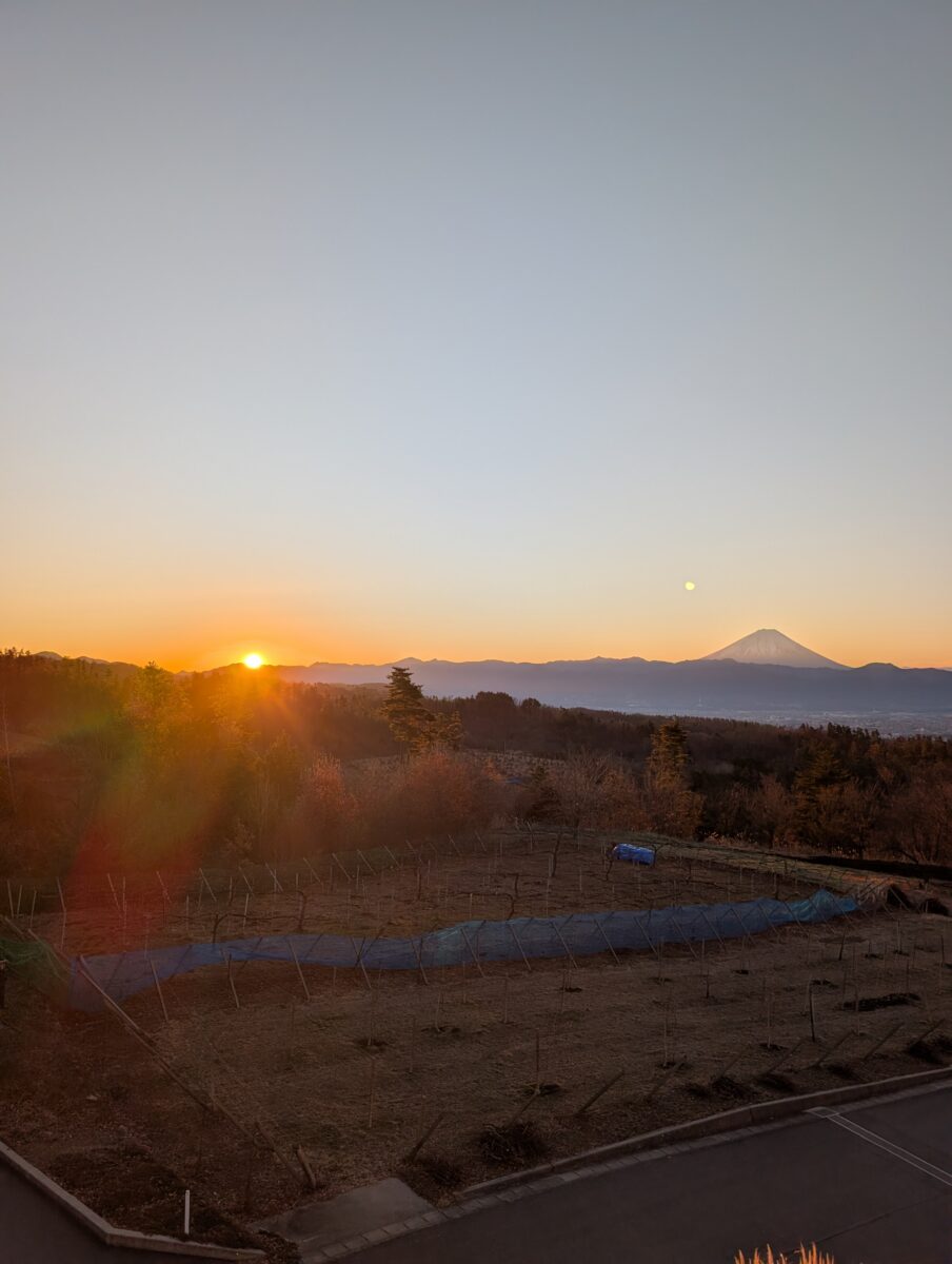 一級建築士試験合格！